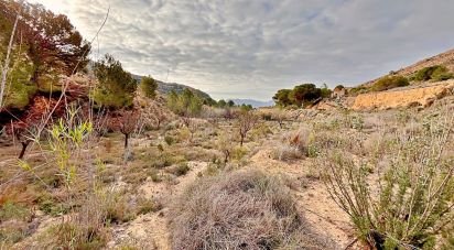 Land of 9,238 m² in Agost (03698)