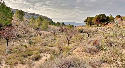 Land of 9,238 m² in Agost (03698)