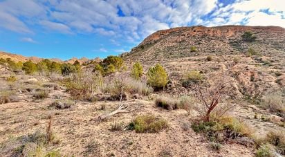 Land of 9,238 m² in Agost (03698)