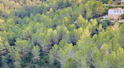 Terrain de 3 282 m² à Benidoleig (03759)