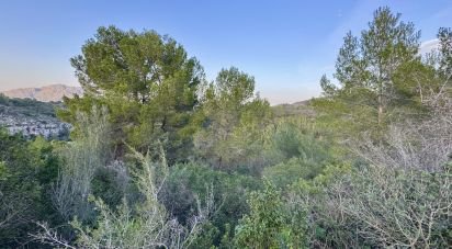 Terrain de 3 282 m² à Benidoleig (03759)