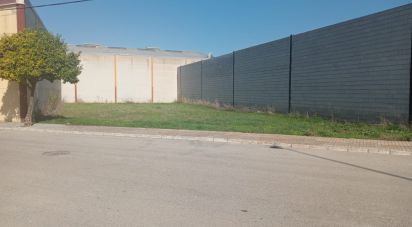 Land of 593 m² in Cañada Rosal (41439)