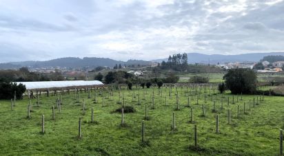 Maison 0 chambre de 185 m² à Vilariño (36633)