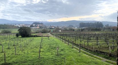 Maison 0 chambre de 185 m² à Vilariño (36633)