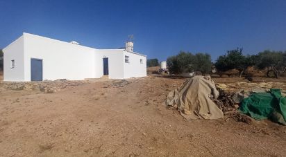 Terreno de 49.000 m² en Arcos de la Frontera (11630)