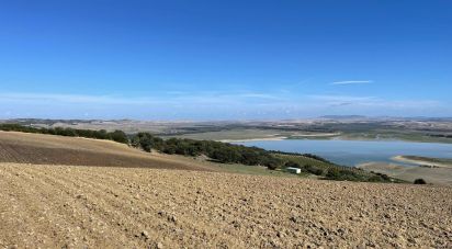 Terreno de 49.000 m² en Arcos de la Frontera (11630)