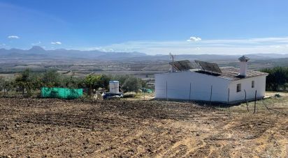 Terreno de 49.000 m² en Arcos de la Frontera (11630)