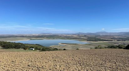 Terreno de 49.000 m² en Arcos de la Frontera (11630)