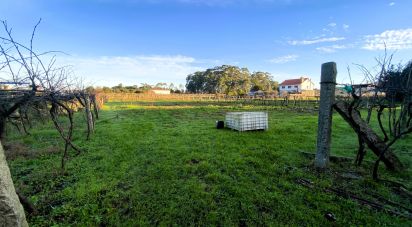 Terrain de 2 725 m² à Vilanova de Arousa (36620)