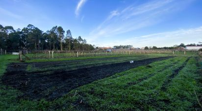 Terrain de 2 725 m² à Vilanova de Arousa (36620)