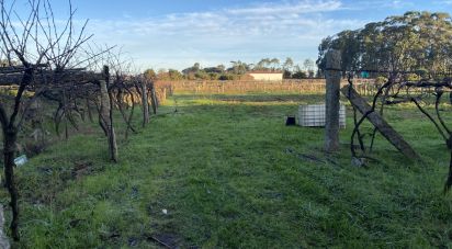Terrain de 2 725 m² à Vilanova de Arousa (36620)