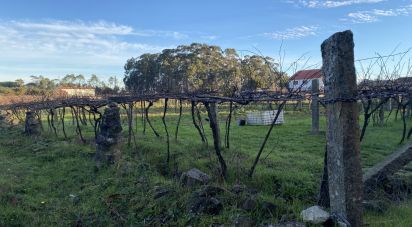 Terrain de 2 725 m² à Vilanova de Arousa (36620)