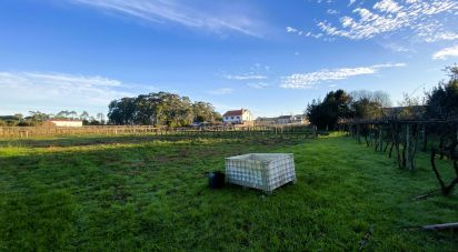 Terrain de 2 725 m² à Vilanova de Arousa (36620)