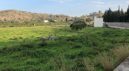 Terreno de 10.702 m² en Oliva (46780)