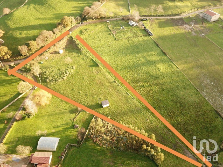 Terrain de 6 134 m² à La Busta (39590)