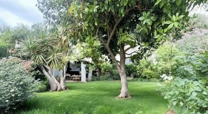 Lodge 5 bedrooms of 361 m² in Sant Feliu de Codines (08182)