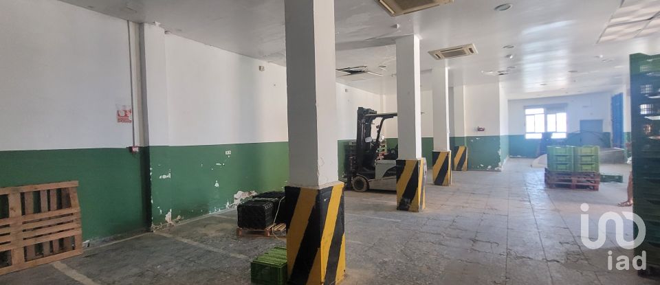 Botiga / Local comercial de 320 m² a Sorvilán (18713)