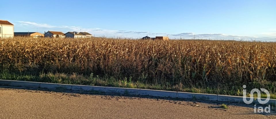 Terreno de 6.061 m² en Soto de la Vega (24768)