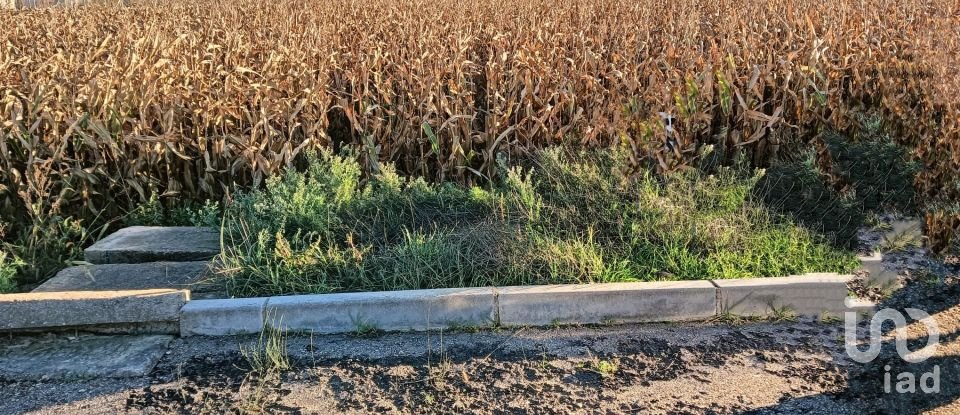 Terreno de 6.061 m² en Soto de la Vega (24768)