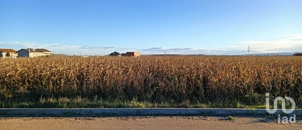 Terreno de 6.061 m² en Soto de la Vega (24768)