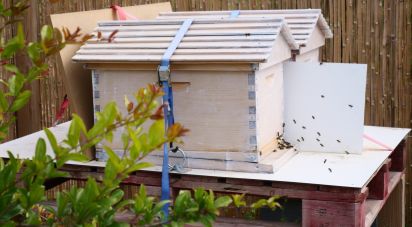 Casa 5 habitaciones de 385 m² en Partida Las Bayas (03292)