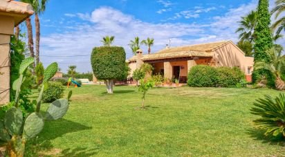 Casa 5 habitaciones de 385 m² en Partida Las Bayas (03292)