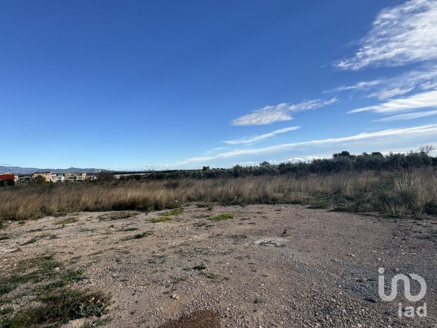 Land of 9,234 m² in Mont-Roig del Camp (43300)