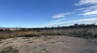 Land of 9,234 m² in Mont-Roig del Camp (43300)