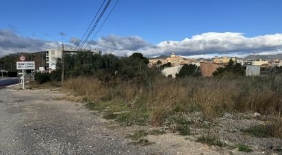 Land of 9,234 m² in Mont-Roig del Camp (43300)