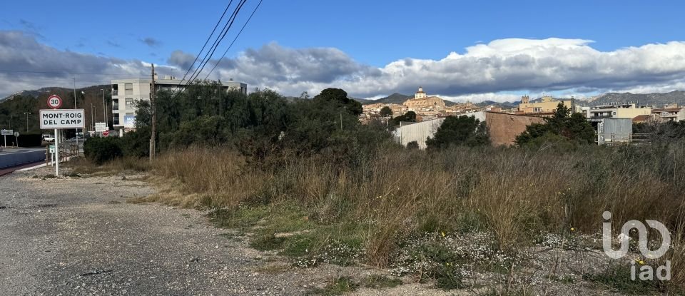 Land of 9,234 m² in Mont-Roig del Camp (43300)