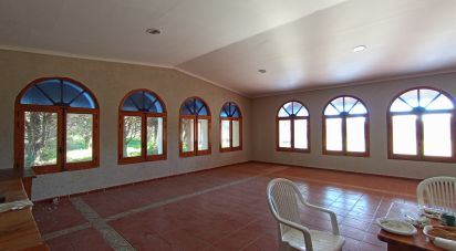 Terreno de 9.970 m² en Camarma de Esteruelas (28816)