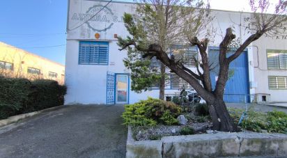 Superfície variada de 428 m² a Valls (43800)