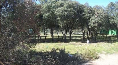 Land of 553 m² in Pioz (19162)