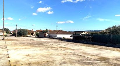 Land of 419 m² in Sant Jaume dels Domenys (43713)