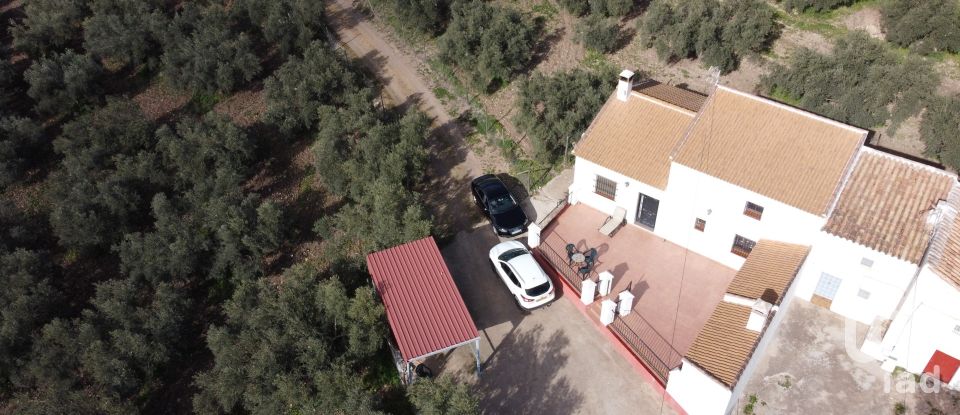 Maison 3 chambres de 150 m² à Villanueva de la Concepción (29230)