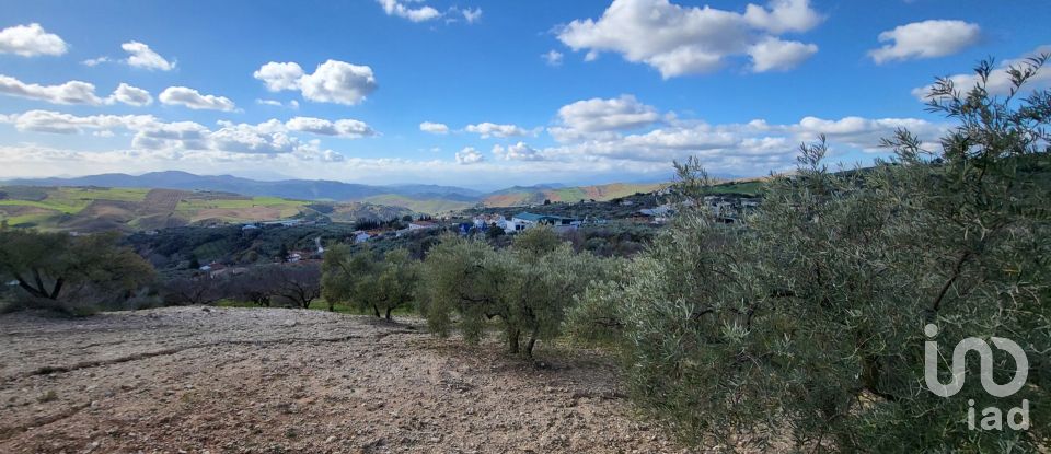 Maison 3 chambres de 150 m² à Villanueva de la Concepción (29230)