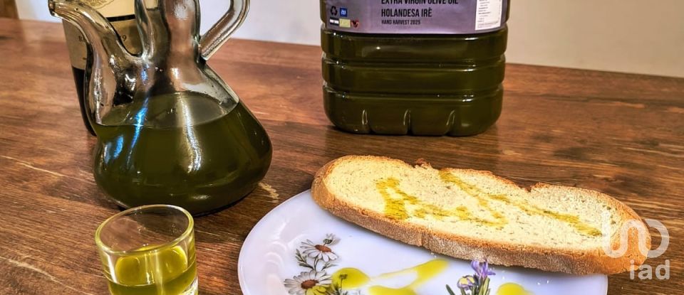 Maison 3 chambres de 150 m² à Villanueva de la Concepción (29230)