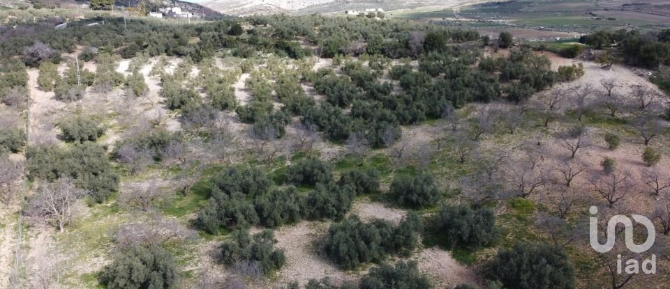 Maison 3 chambres de 150 m² à Villanueva de la Concepción (29230)