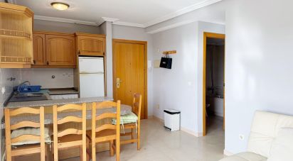 Apartment 1 bedroom of 59 m² in La Pineda (43481)