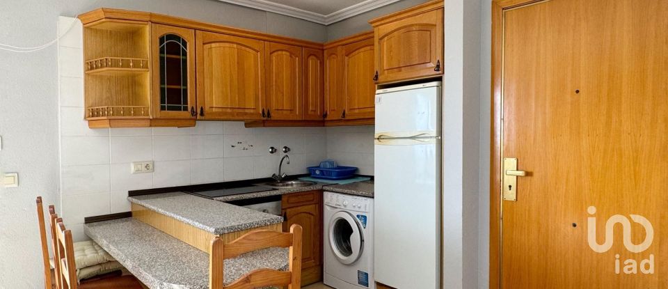 Apartment 1 bedroom of 59 m² in La Pineda (43481)