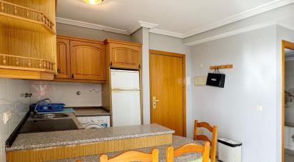 Apartment 1 bedroom of 59 m² in La Pineda (43481)