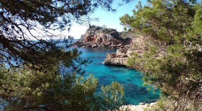 Maison 6 chambres de 320 m² à Cala s'Almonia (07690)