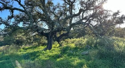 Land of 44,740 m² in Villablanca (21590)