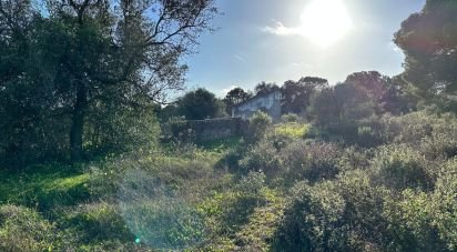 Land of 44,740 m² in Villablanca (21590)