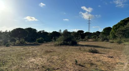 Land of 44,740 m² in Villablanca (21590)