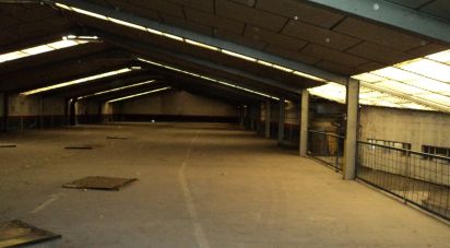 Other surface of 2,163 m² in La Bañeza (24750)