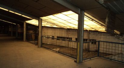 Other surface of 2,163 m² in La Bañeza (24750)