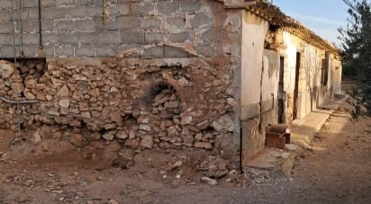 House 2 bedrooms of 56 m² in Purias (30813)