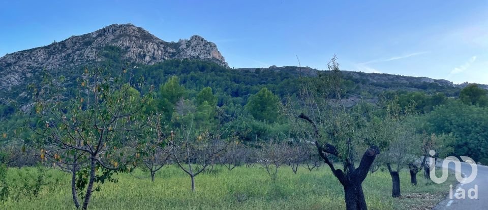 Terrain de 2 750 m² à Murla (03792)