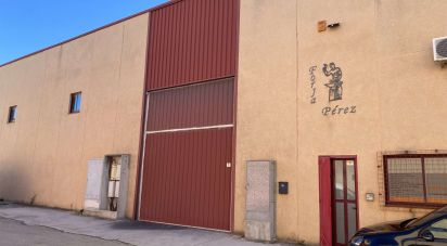 Shop / premises commercial of 420 m² in Valls (43800)